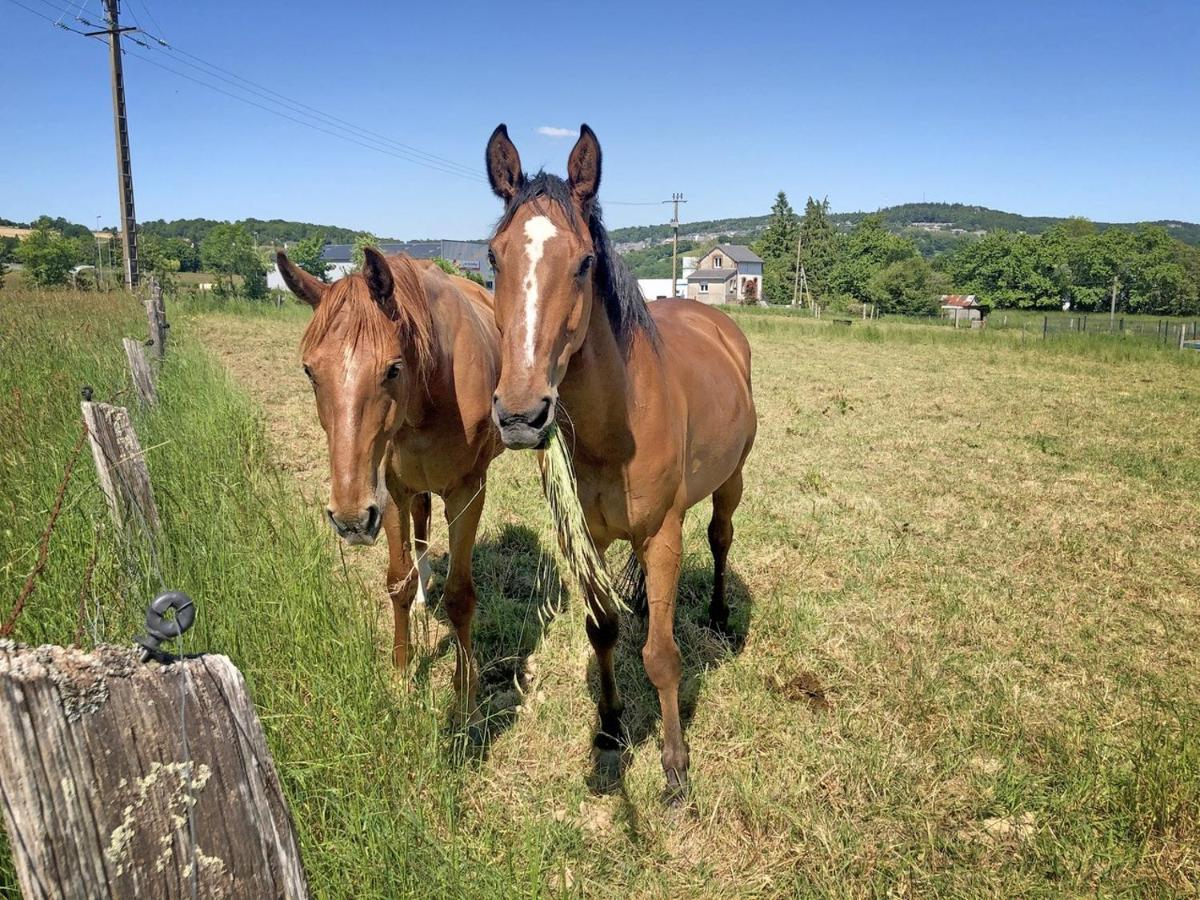 Les Closeaux Phil Mortain-Bocage Exterior foto
